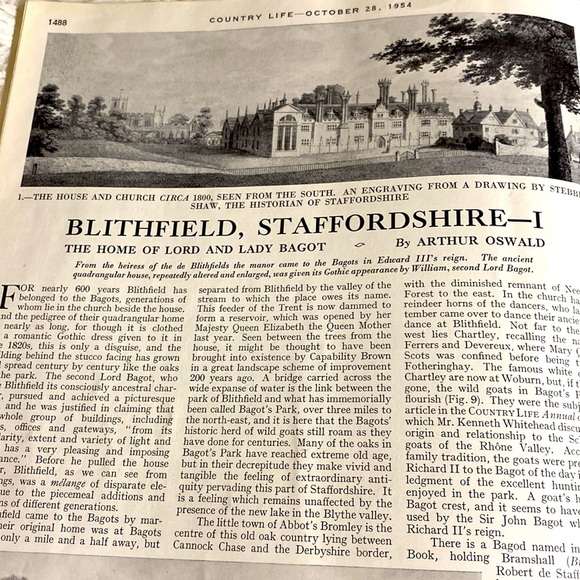 COUNTRY LIFE MAGAZINE October 28, 1954 - Picture 8 of 16